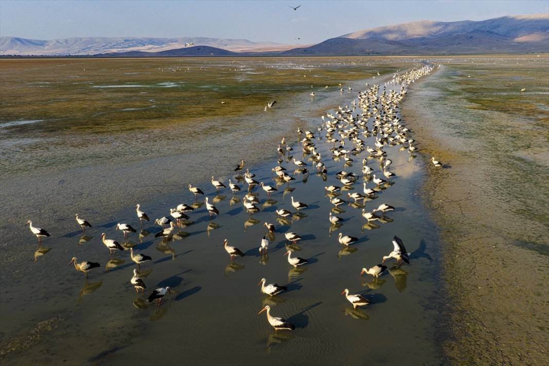 Gurbetçiler göç yolunda! Molayı Konya'da verdiler 11